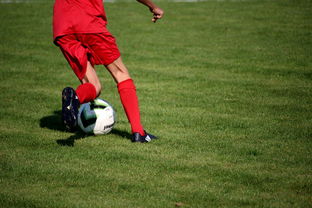 开云体育app下载-篮球运动员心理健康维护及干预体系构建,篮球运动员心理训练