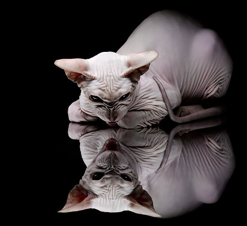 开云体育登录-西甲教练组使用情绪调控技术降低关键战失误率，西甲主教练一览