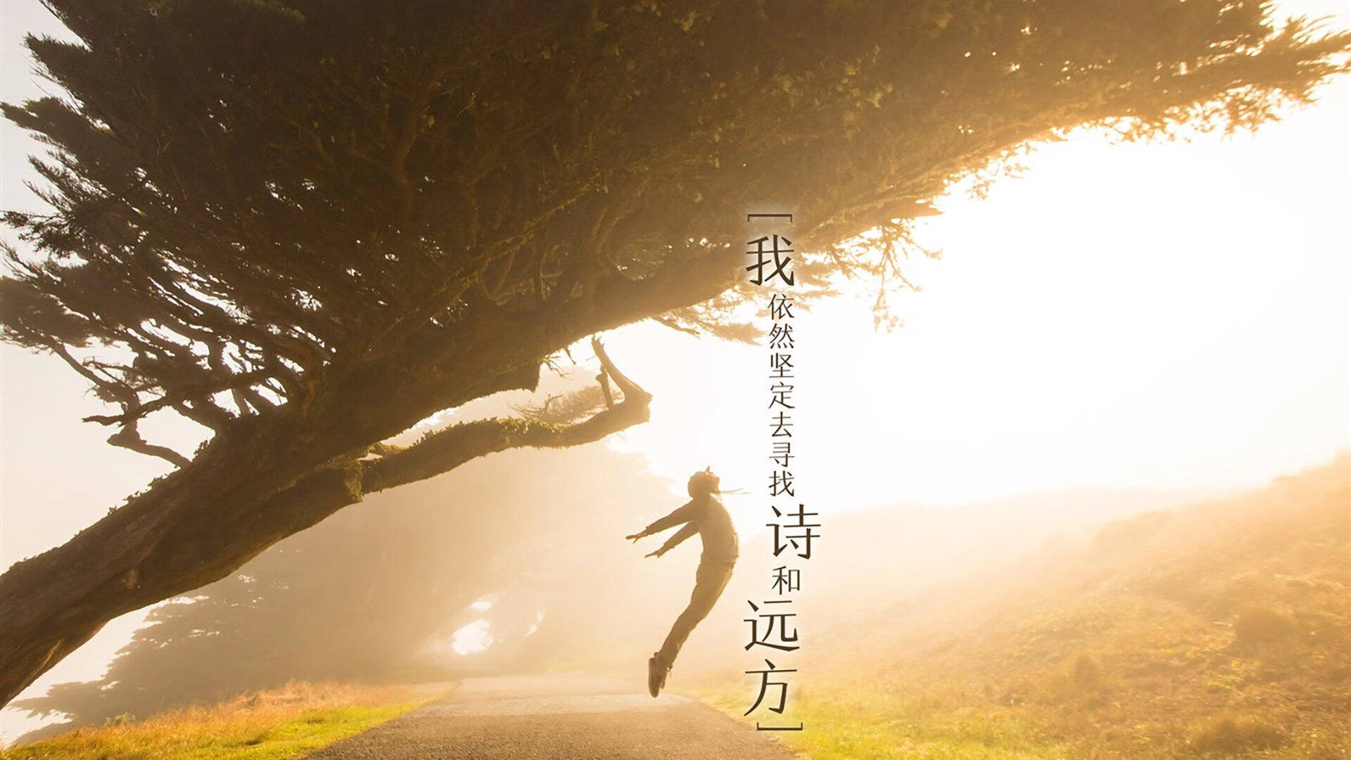 开云体育足球-青少年体育训练效果评估，青少年运动员体能训练总结