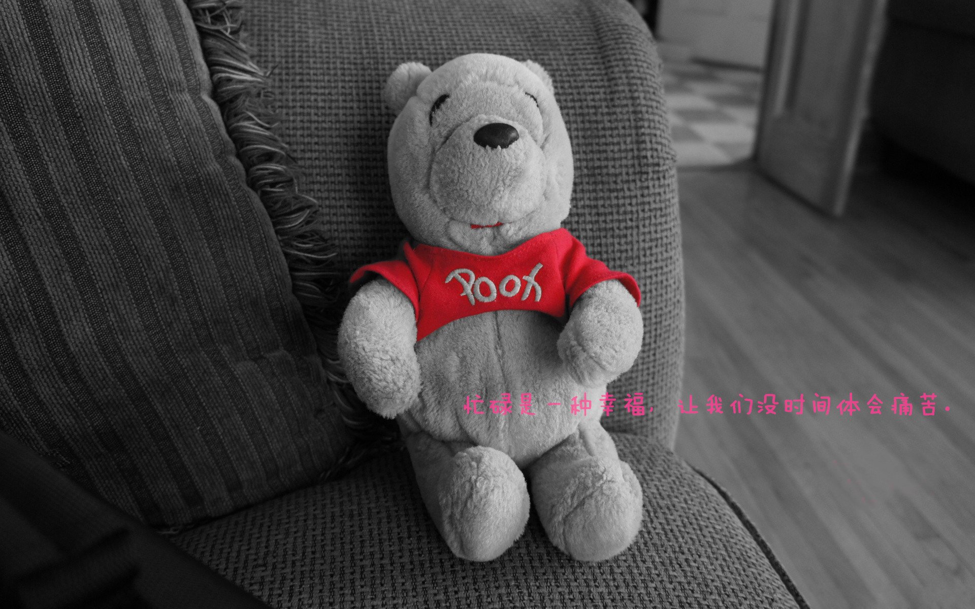 开云体育网址-CBA球队赞助结构优化品牌合作更趋多元,cba赞助商有哪些