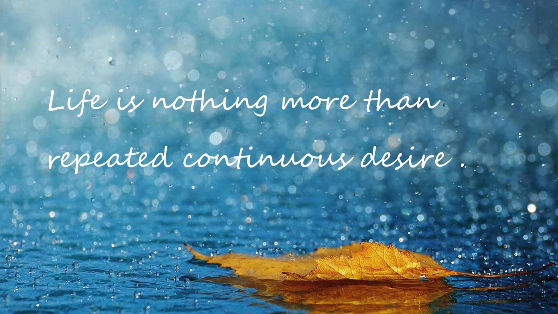 开云体育app入口-CBA赛季吸引众多球迷关注，cba上赛季各队队员