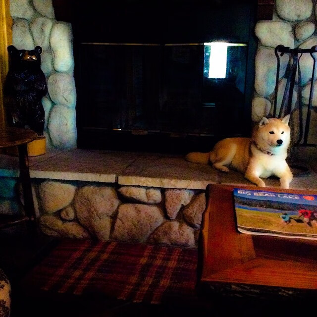 开云体育登录-中超俱乐部引援加强阵容实力，中超新援