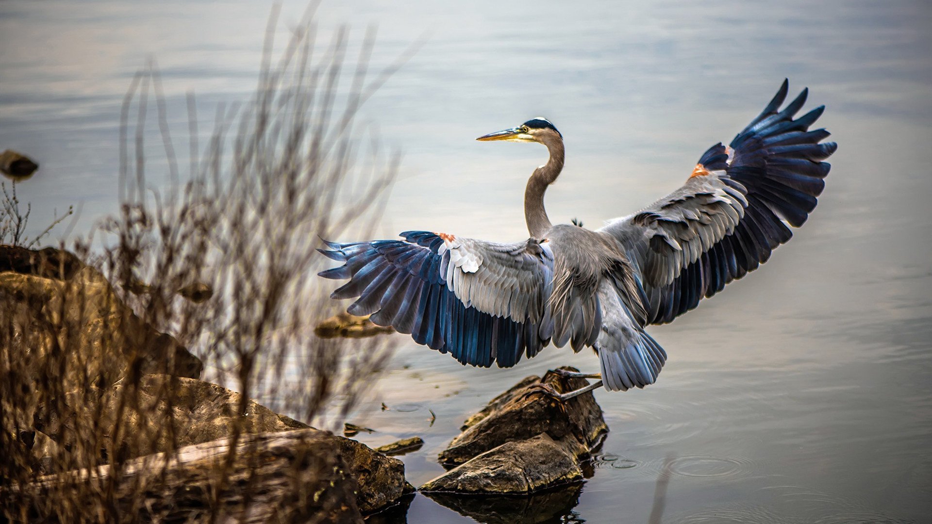 开云体育足球-埃及赛制解析:如何通过精确的赛程安排提高赛事竞争力,埃及乙组联赛比赛结果