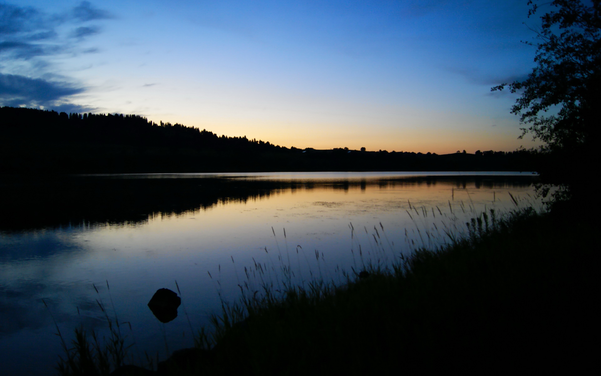 开云体育app入口-男子400混美队新星首度夺金，美国男子四百米名将