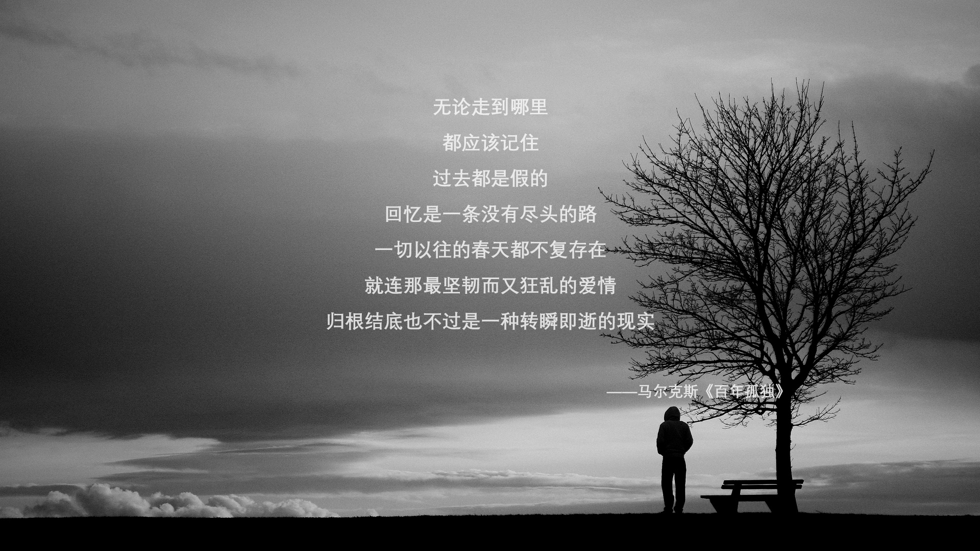 开云官方网-“诺克·达维德·彼得森的领导力，助力南非羚羊队攻城略地”