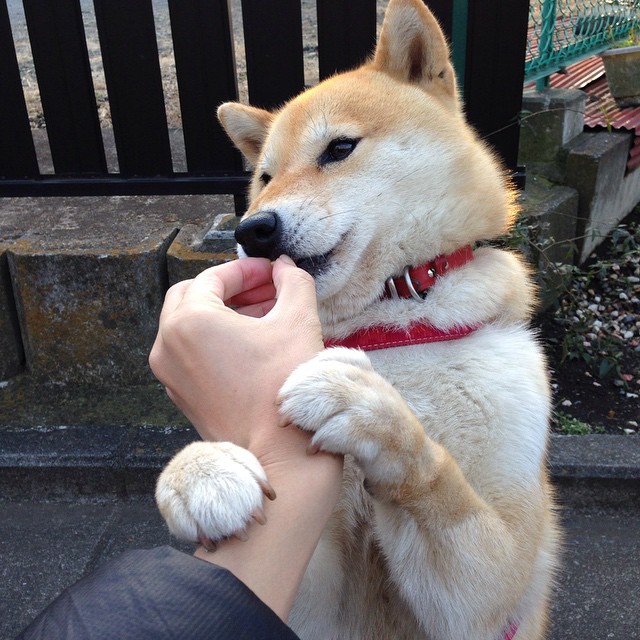 开云体育网站-喀麦隆男篮在非洲锦标赛中奋勇争夺,实现历史性突破,喀麦隆篮球男孩