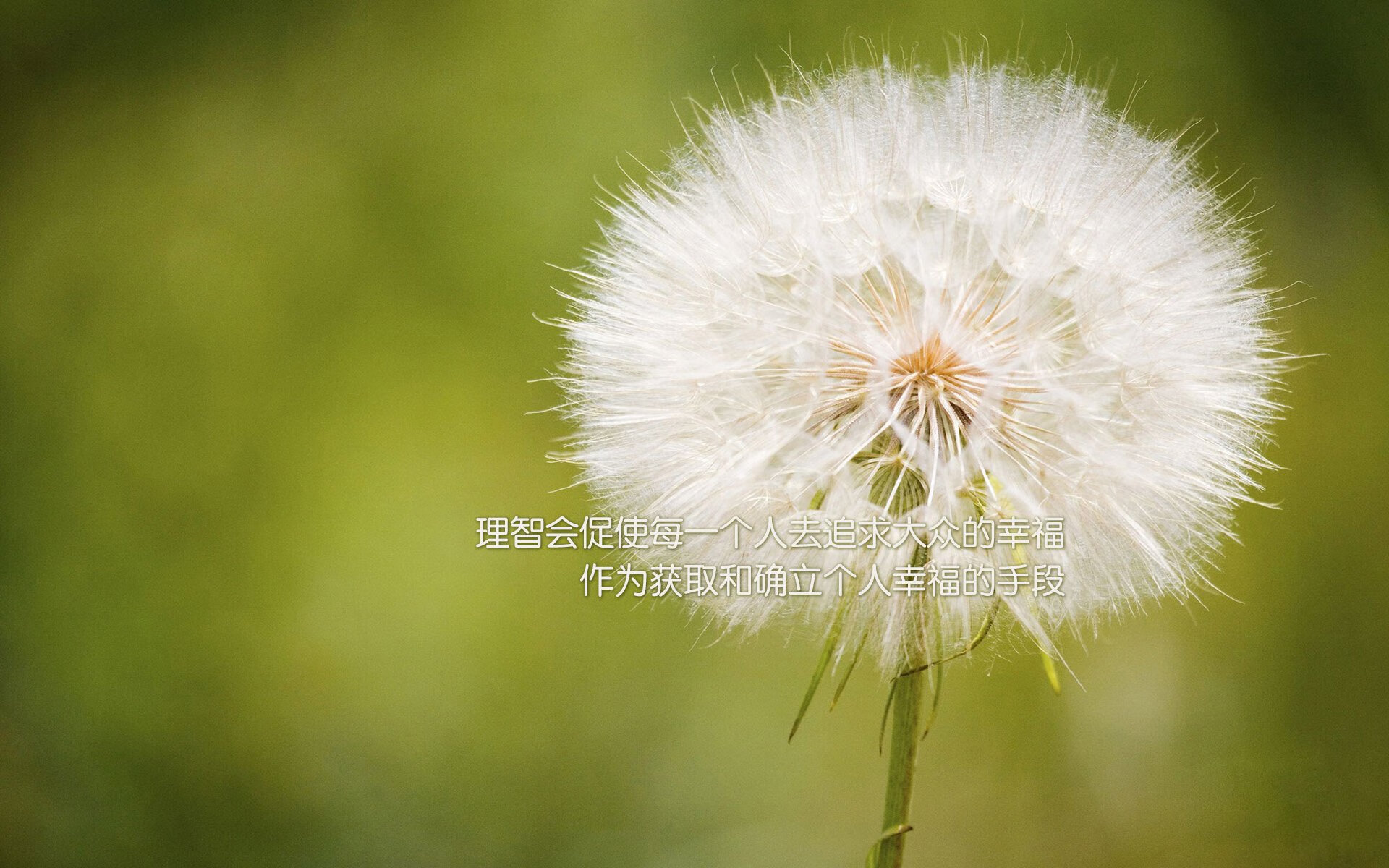 开云体育官网app-国家队主帅赛后复盘强调团队防守仍需提升默契度，国家队主力