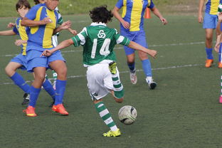 开云体育app入口-女子国家队门将组强化高空球处理训练提升扑救质量,门将高空球判断落点