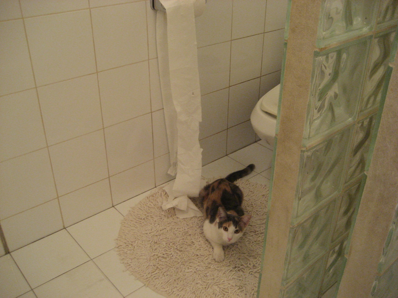 开云体育足球-德甲速度狂飙：瞬间突入，全场震撼！，德甲最快球员