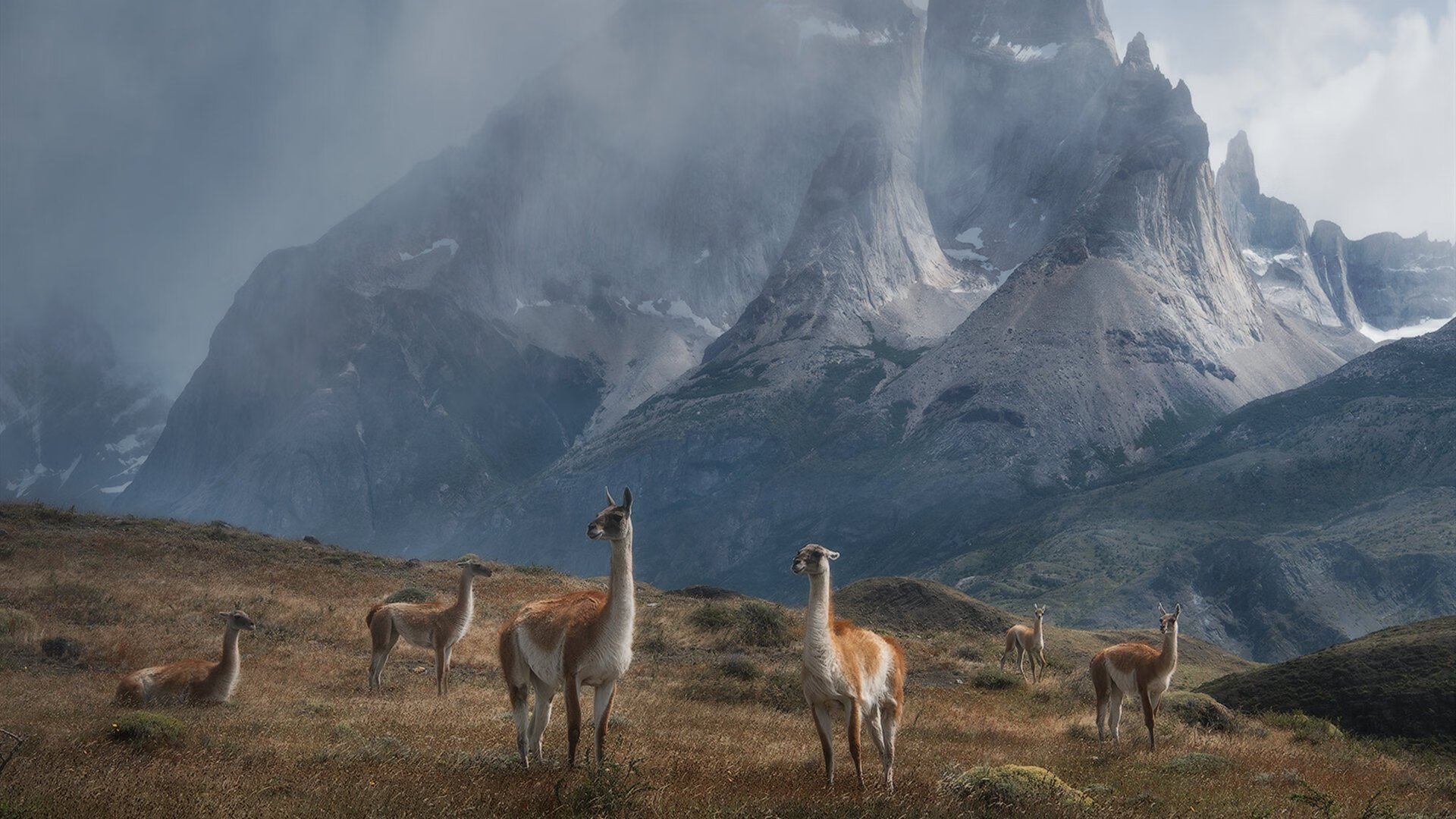 开云体育app下载-英超激烈攻防：精彩不断，惊喜连连，英超扩军
